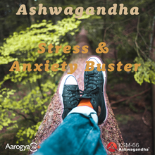 Load image into Gallery viewer, KSM-66® Ashwagandha - 600mg - 60 Vcaps® Plus